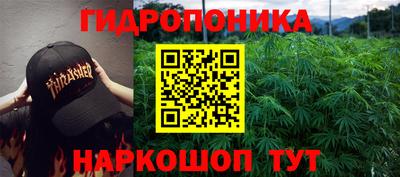 шишки Северобайкальск