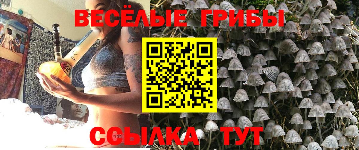 Псилоцибиновые грибы мицелий  Вход с VPN  Партизанск 